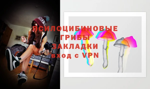 кокаин колумбия Новозыбков