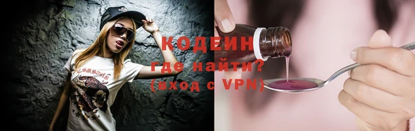 индика Нея