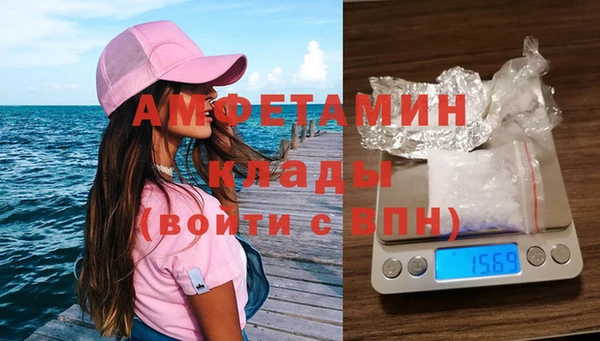 индика Нея