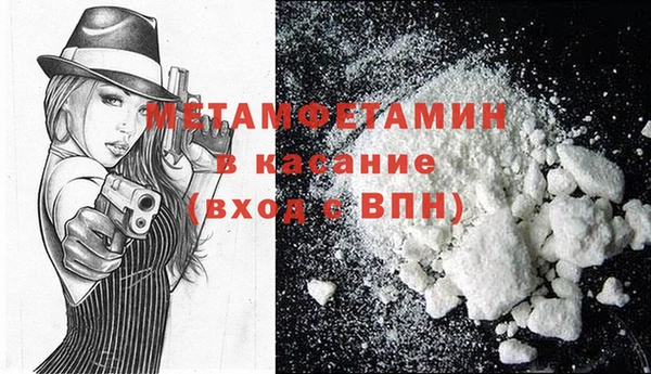 индика Нея