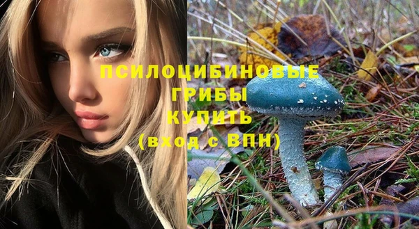 гашиш Новодвинск