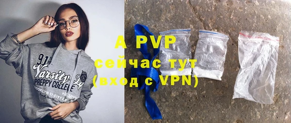 индика Нея