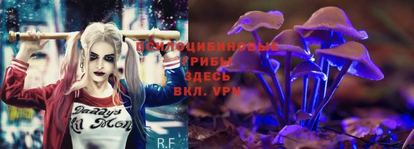 индика Нея