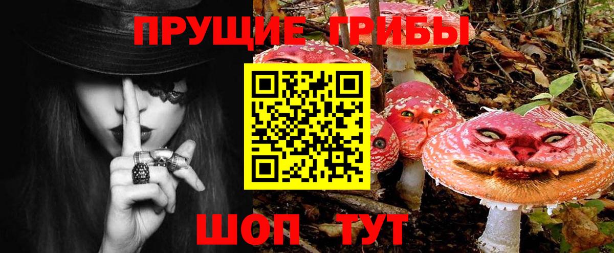 купить   Псилоцибиновые грибы Psilocybine cubensis  Ишим  Псилоцибиновые грибы мицелий 