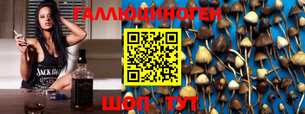 Галлюциногенные грибы мицелий Ишим