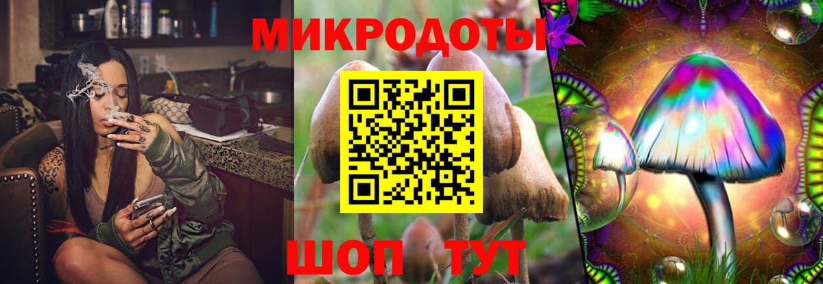 Ишим  Псилоцибиновые грибы Magic Shrooms  Вход с VPN 
